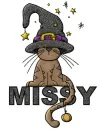 Black Cat Missy