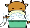 Cow 5