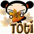 Toti ... Pucca