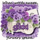 When words...Gilda