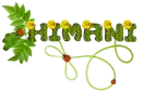 Himani