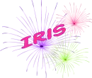 Fireworks - Iris