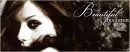 Beautiful Disaster