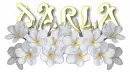 Darla