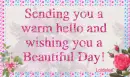 Sending warm HELLO