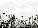 Grass