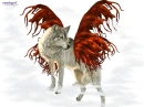 my wolf-angel