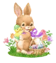 Hare.