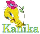 Kanika