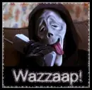 whats up