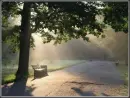 alone bench