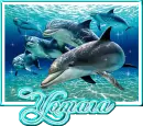 Yomara
