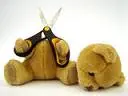 suicidal teddy