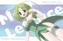 lettuce