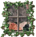 angel in a window