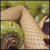 fashion legs