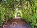 green way