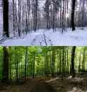 same place