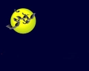 Bats and moon
