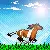 little horse running