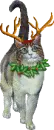 CHRISTMAS CAT