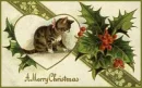 CHRISTMAS CAT