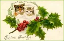 CHRISTMAS CAT