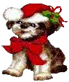 CHRISTMAS PUPPY