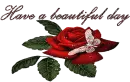 have a beautiful day