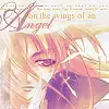 DN Angel