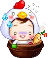ginseng & chicken