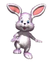 BUNNY