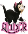 Cute Kitten - Amber