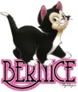 Cute Kitten - Bernice