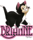 Cute Kitten - Brianne