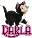 Cute Kitten - Darla