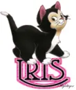 Cute Kitten - Iris