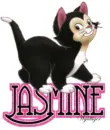 Cute Kitten - Jasmine