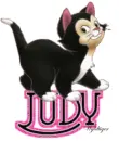 Cute Kitten - Judy