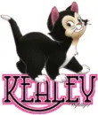 Cute Kitten - Kealey
