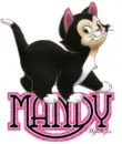 Cute Kitten - Mandy