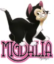 Cute Kitten - Migdalia