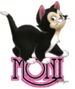 Cute Kitten - Moni