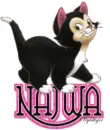 Cute Kitten - Najwa