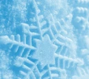 SNOWFLAKES