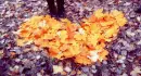 leaves heart