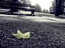 lost