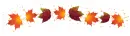 Auturm season