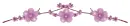 Purple Flower