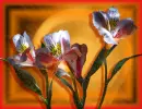 Flowers.